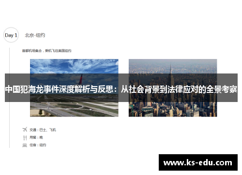 中国犯海龙事件深度解析与反思：从社会背景到法律应对的全景考察