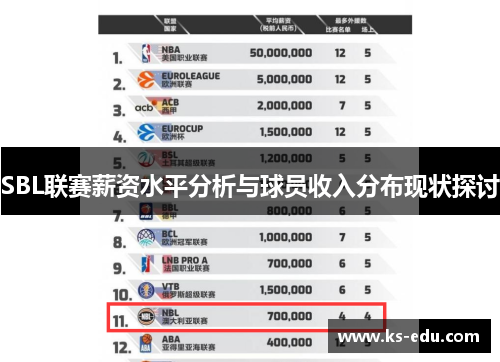 SBL联赛薪资水平分析与球员收入分布现状探讨