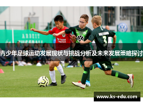 青少年足球运动发展现状与挑战分析及未来发展策略探讨